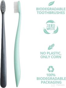 img 3 attached to NATURAL FAMILY CO BIODEGRADABLE TOOTHBRUSHES Oral Care for Toothbrushes & Accessories