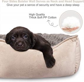 img 1 attached to JOEJOY Rectangle Dog Bed For Large Medium Small Dogs Machine Washable Sleeping Dog Sofa Bed Non-Slip Bottom Breathable Soft Puppy Bed Durable Orthopedic Calming Pet Cuddler, Multiple Size, Beige