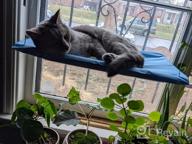 img 1 attached to Sturdy And Safe Window Cat Hammock With Heavy Duty Suction Cups For Resting And Perching, Holds Up To 30Lbs, Plus 2 Extra Suction Cups Included - NOYAL review by David Shah
