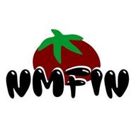 nmfin logo