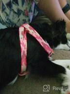 img 1 attached to Pawtitas Reflective Step-In Dog Harness And Vest Combo: Comfortable And Safe For Your Puppy'S Training And Walks - XS Pink review by Brian Batiste