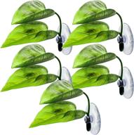 pieces hammock spawning grounds suction logo