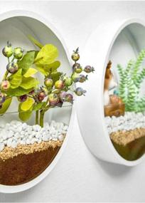 img 2 attached to Ecosides Round Indoor Wall Succulent Hanging Planter, Metal Decorative Freestanding Mount Holder With Glass For Air Plants, Faux Flower,Set Of 3 (White)