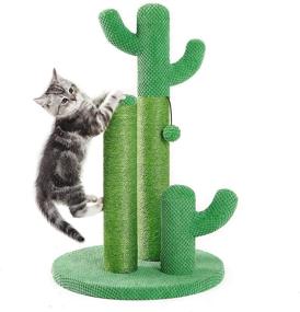 img 4 attached to 🐱 3-Sisal Scratching Poles Kilodor Cactus Cat Scratching Post with Ball – For Kittens and Cats