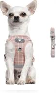 🐾 feimax no-pull dog harness and leash set, breathable soft mesh puppy vest harness with reflective adjustable straps - ideal for small medium dogs and cats - outdoor walking made easy logo