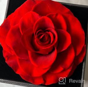 img 6 attached to Коробка с вечными розами Подарки с ожерельем «Я люблю тебя на 100 языках» для женщин - Идеальный подарок из сохранившейся розы для нее, подруги, мамы на День святого Валентина и Рождество - Coindivi