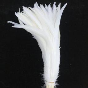 img 2 attached to Sowder Pure White Rooster Coque Tail Feathers 13-16Inch Lengh Pack Of 50