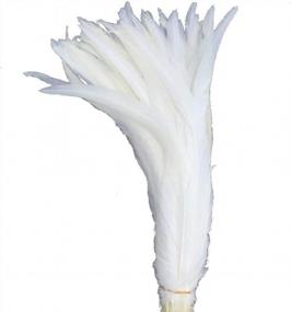 img 3 attached to Sowder Pure White Rooster Coque Tail Feathers 13-16Inch Lengh Pack Of 50