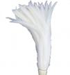 sowder pure white rooster coque tail feathers 13-16inch lengh pack of 50 logo