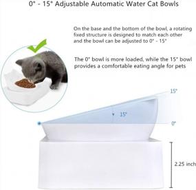 img 1 attached to Raised Cat And Dog Bowls Set With 15° Tilt Design - Best Feeding Posture For Cats & Small Dogs, Protect Spine Health