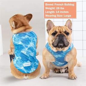 img 1 attached to Kyeese Cooling Breathable Instant Lightweight Dogs