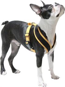 img 3 attached to Gooby Active Synthetic Lambskin Harness Cats ... Collars, Harnesses & Leashes