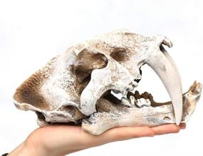 img 1 attached to Aquarium Dinosaur Skull Model Decor: Realistic Reptile Hideout and Shelter (Dinosaur)