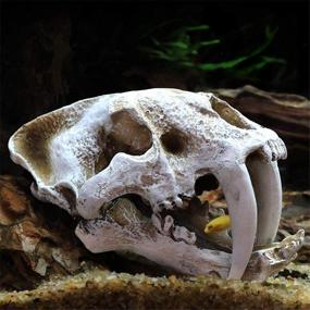 img 2 attached to Aquarium Dinosaur Skull Model Decor: Realistic Reptile Hideout and Shelter (Dinosaur)