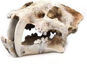 img 3 attached to Aquarium Dinosaur Skull Model Decor: Realistic Reptile Hideout and Shelter (Dinosaur)