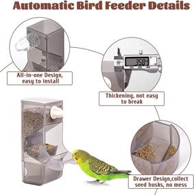 img 2 attached to Hamiledyi Automatic Container Lovebirds Accessories