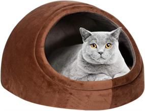 img 4 attached to 🐱 Autokcan Cat Bed: Machine Washable for Indoor Cats or Small Dogs - Anti-Slip & Water-Resistant Bottom (Brown)