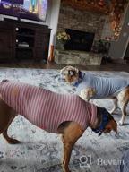 img 1 attached to KYEESE 2Pack Dog Coat Warm Turtleneck Stretchy Dog Sweater Super Soft Dog Cold Weather Coat For Small Dogs In Sleeveless Design, Grey,L review by Fred Novak