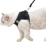 escape-proof pet harness and leash set for small dogs, large cats, and mini poodles under 10lbs – ideal puppy harness and leash for walks logo