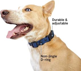 img 1 attached to Keep Your Pup Dry & Fresh With The BarkBox Waterproof & Odor-Proof Collar - Large Size In Navy