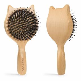 img 4 attached to Natural Boar Bristle Hair Brush For Women, Men, And Kids - BESTOOL Small Travel Wood Hairbrush For Detangling, Defrizzing, And Distributing Oil