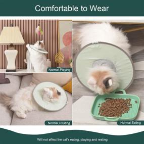 img 2 attached to 🐾 Adjustable Soft Elizabethan Collar for Cat Recovery After Surgery - Lightweight and Foldable Cat Cone with Self Adhesive Bandage