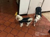 img 1 attached to RUFFWEAR Cloud Chaser Waterproof Insulated Jacket For Dogs - Obsidian Black, Large review by Cynthia Broederdorf