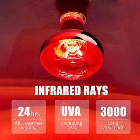 img 1 attached to 🦎 Reptile Heat Lamp Bulb, 100W Infrared Basking Spot Lamp for Bearded Dragon and Reptiles - Repti Basking Spot Bulb, Red Heat Bulb