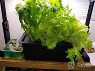 img 1 attached to Grow Fresh Herbs At Lightning Speed: Complete DWC Hydroponic System Kit With Large Airstone, 6-Site Bucket, And Air Pump For Indoor Kitchen Garden review by Joe Jimenez