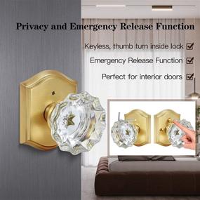img 2 attached to Satin Brass Privacy Gold Door Knob Lock Interior Glass Door Knobs For Bathroom Bedroom - CLCTK Premium