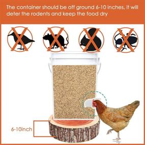 img 1 attached to No Waste Chicken Feeder DIY Kit - 4 PCS Automatic 🐔 Poultry Feeders for Buckets, Barrels, Bins, Troughs - Rodent Proof & Rain Proof!