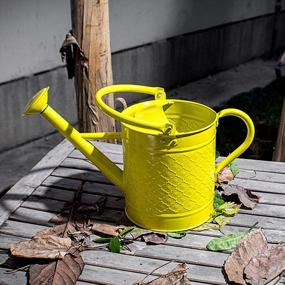 img 1 attached to HORTICAN 1 Gal Galvanized Steel Watering Can Decorative Farmhouse Style Watering Can, Removable Rosette-Diffuser, Perfect For Indoor And Outdoor Use
