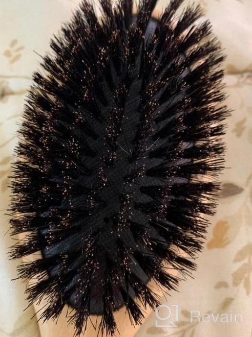 img 1 attached to Boar Bristle Hair Brush For Men Natural Hair Brushes For Women Pure Boar Bristle Brush Mens Hair Brush Set Boars Hair Brush Oval Wooden Bore Bamboo Hairbrush Adds Shine Fine Soft Thin Hair review by Nigel Morris