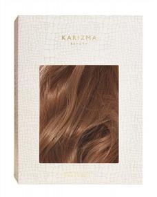 img 1 attached to Karizma Синтетические волосы Коричневый парик с длинными корнями на кружеве - Феноменальный стиль для вашего образа