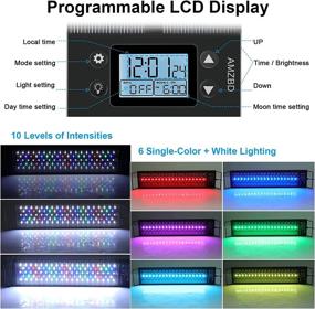 img 2 attached to 🐠 AMZBD Aquarium Lights: Full Spectrum LED Lights for Freshwater Tanks - Adjustable 7 Colors, Programmable, Waterproof, Timer & DIY Mode (12-18 inch)