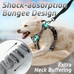 img 2 attached to 🐾 rabbitgoo Reflective Dog Harness with No-Pull Design, Bungee Shoulder Straps, Metal Clips, and Adjustable Belly Strap - Ideal Walking Vest for Large Medium Small Dogs, Soft Padded and Handle Included