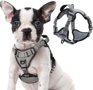 🐾 rabbitgoo reflective dog harness with no-pull design, bungee shoulder straps, metal clips, and adjustable belly strap - ideal walking vest for large medium small dogs, soft padded and handle included логотип