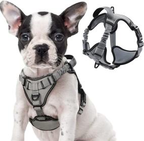 img 4 attached to 🐾 rabbitgoo Reflective Dog Harness with No-Pull Design, Bungee Shoulder Straps, Metal Clips, and Adjustable Belly Strap - Ideal Walking Vest for Large Medium Small Dogs, Soft Padded and Handle Included