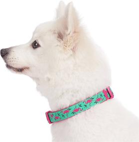 img 1 attached to 🦩 Pink Flamingo on Light Emerald Adjustable Dog Collar - Blueberry Pet Essentials, Medium Size (Neck 14.5"-20")