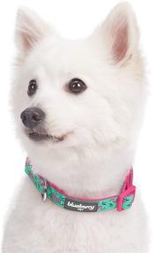 img 2 attached to 🦩 Pink Flamingo on Light Emerald Adjustable Dog Collar - Blueberry Pet Essentials, Medium Size (Neck 14.5"-20")