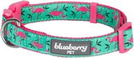 🦩 pink flamingo on light emerald adjustable dog collar - blueberry pet essentials, medium size (neck 14.5"-20") logo