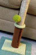 img 1 attached to Sturdy Double Base Plate Cat Scratching Post With Self-Groomer - Perfect Kitten Scratching Posts For Indoor Cats - Jaoul 21 review by Kaushik Hall