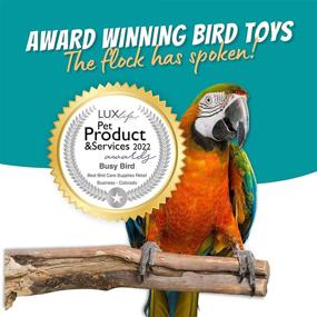 img 1 attached to Barrel Foraging Bird Toy - Busy Bird with Non-Removable Wing Nuts | 100% Metal, Ultimate Brain Teaser and Mind Game for Medium to Extra Large Birds