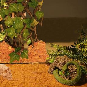 img 1 attached to 🦎 Cayway Reptile Climb Tree: Skull Hide Decorations for Terrariums, Gecko Hideouts, Aquarium Fish Tank Decorations, and More!