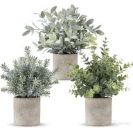 🌿 romay 3 pack mini potted artificial eucalyptus plants: lush greenery for home office desk decor логотип