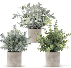 img 4 attached to 🌿 ROMAY 3 Pack Mini Potted Artificial Eucalyptus Plants: Lush Greenery for Home Office Desk Decor