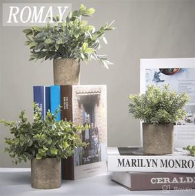 img 3 attached to 🌿 ROMAY 3 Pack Mini Potted Artificial Eucalyptus Plants: Lush Greenery for Home Office Desk Decor