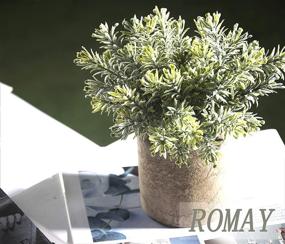 img 1 attached to 🌿 ROMAY 3 Pack Mini Potted Artificial Eucalyptus Plants: Lush Greenery for Home Office Desk Decor