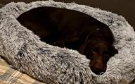 img 1 attached to Get Comfy With Barkbox 2-In-1 Memory Foam Donut Cuddler Dog And Cat Bed For Joint Relief And Calmness - Removable Cover, Machine Washable, Waterproof Lining, And Toy Included! review by Patrick Freddie