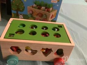 img 6 attached to Gift Toy For Baby Boys Girls 1-3 Years Old: SKYFIELD Montessori Wooden Garden Color Shape Fruit Sorting Orchard Cart Farm Game - Develop Fine Motor Skills!